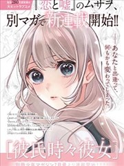 《同人宇宙编年》同人小说封面